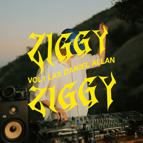 Ziggy Ziggy Vol 1 Lax Daniel Allan Beachcrimes And