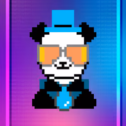 Panda 51