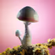 Rare Mushrooms V2