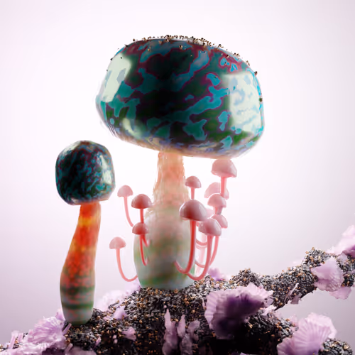 Rare Mushrooms V2