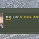 Banner #613