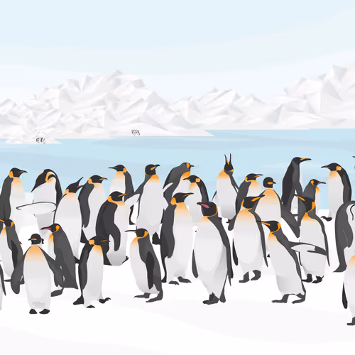 Penguin Colony