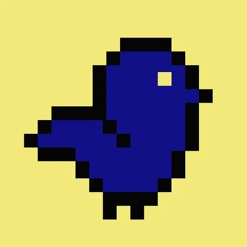About The Bird