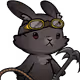 23443