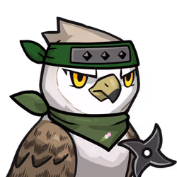 Narukami-Barn owl #20574