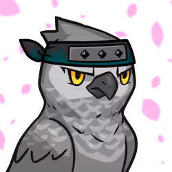 Narukami-Grey parrot #07395
