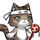 18251