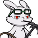 22732