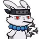 22753