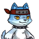 17067