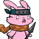 24094