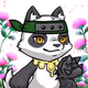 12243