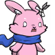 23216