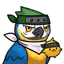 Narukami-Blue-and-white macaw #20058