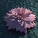Valensia