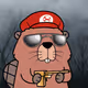 9294