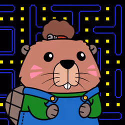 Beavers by CEDEN #8253