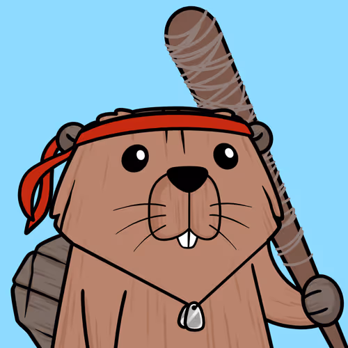 Beavers By Ceden