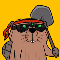 Beavers by CEDEN #3607