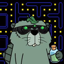 Beavers by CEDEN #696