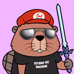 Beavers by CEDEN #8083