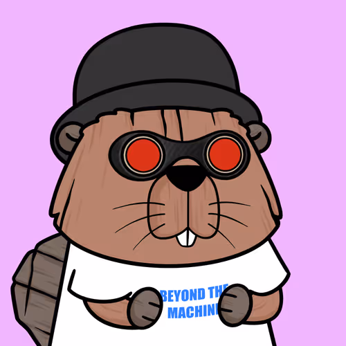 Beavers by CEDEN #507