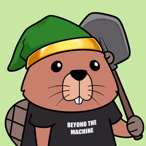 Beavers By Ceden