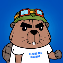 Beavers by CEDEN #1275