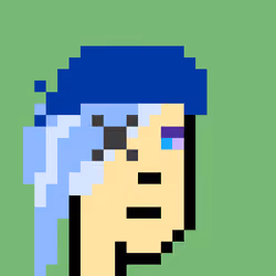 PiratePunk 727