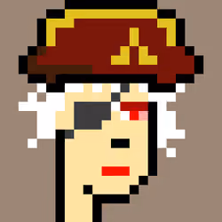 PiratePunk 153
