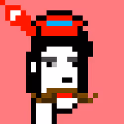 PiratePunk 313