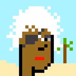 PiratePunk 312
