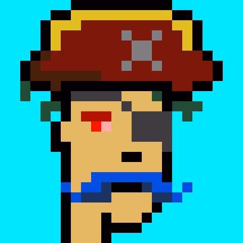 PiratePunk 696