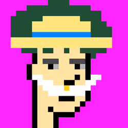 PiratePunk 309