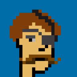 PiratePunk 562