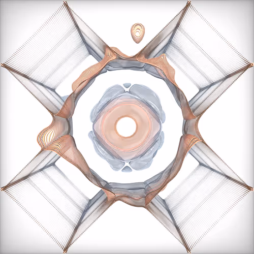 Fluxus By Monotau