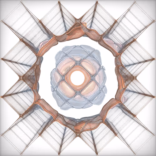 Fluxus By Monotau