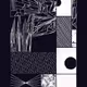 1000082