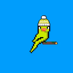 JustBirdz #11