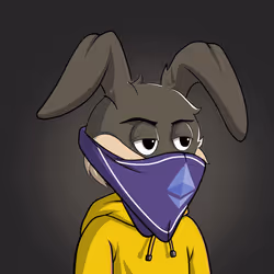 Millionaire Rabbit #844