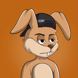Millionaire Rabbit #875