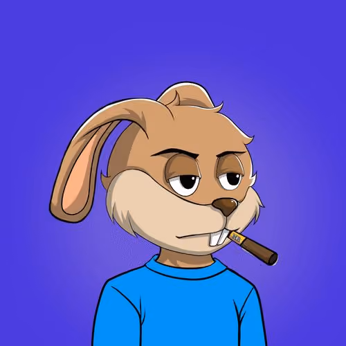 Millionaire Rabbit #613