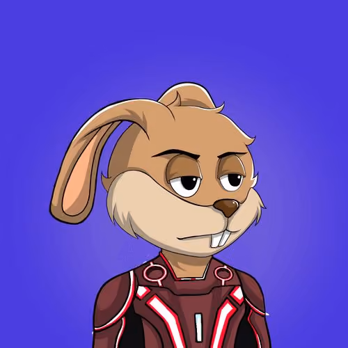 Millionaire Rabbit #144