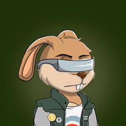 Millionaire Rabbit #443