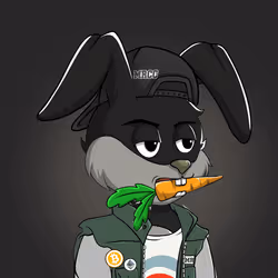 Millionaire Rabbit #764