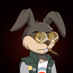 Millionaire Rabbit #72