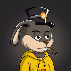 Millionaire Rabbit #434