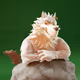 5378