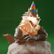 2061