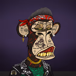 StonerApeYC Limited PFP #96